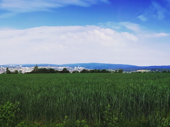 Panorama auf Wiesbaden