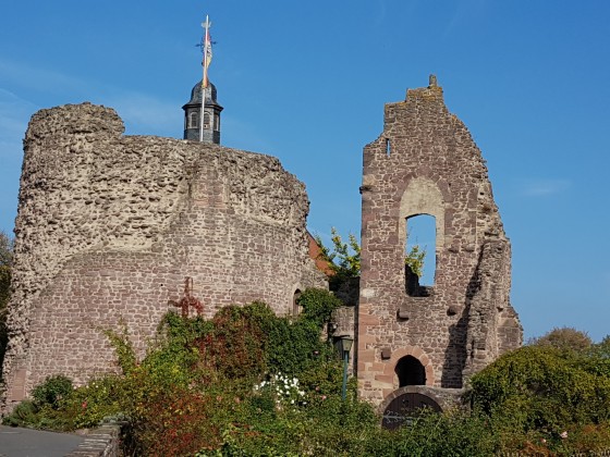 Burg Hayn - Dreieichenhain
